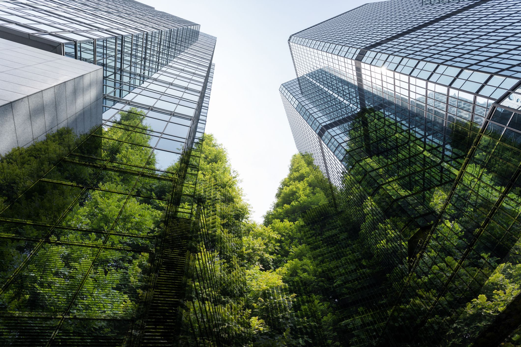 3 Ways Janitorial Companies Can Lead the Charge in Sustainability This April